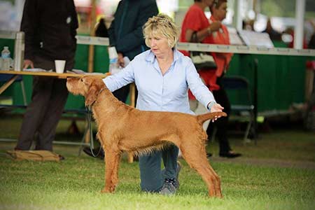 Bula at a show